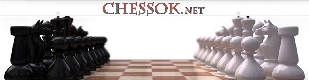 Чессок шахматы. CHESSOK магазин. CHESSOK магазин фото. Путешествие в шахматное королевство Авербах купить.