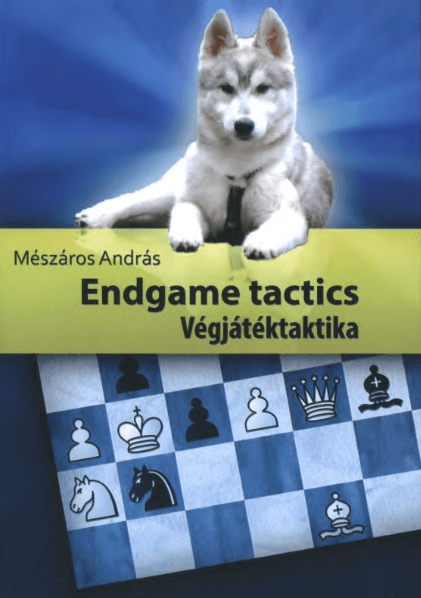 Endgame Tactics