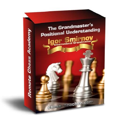 The Grandmaster's Positional Understanding